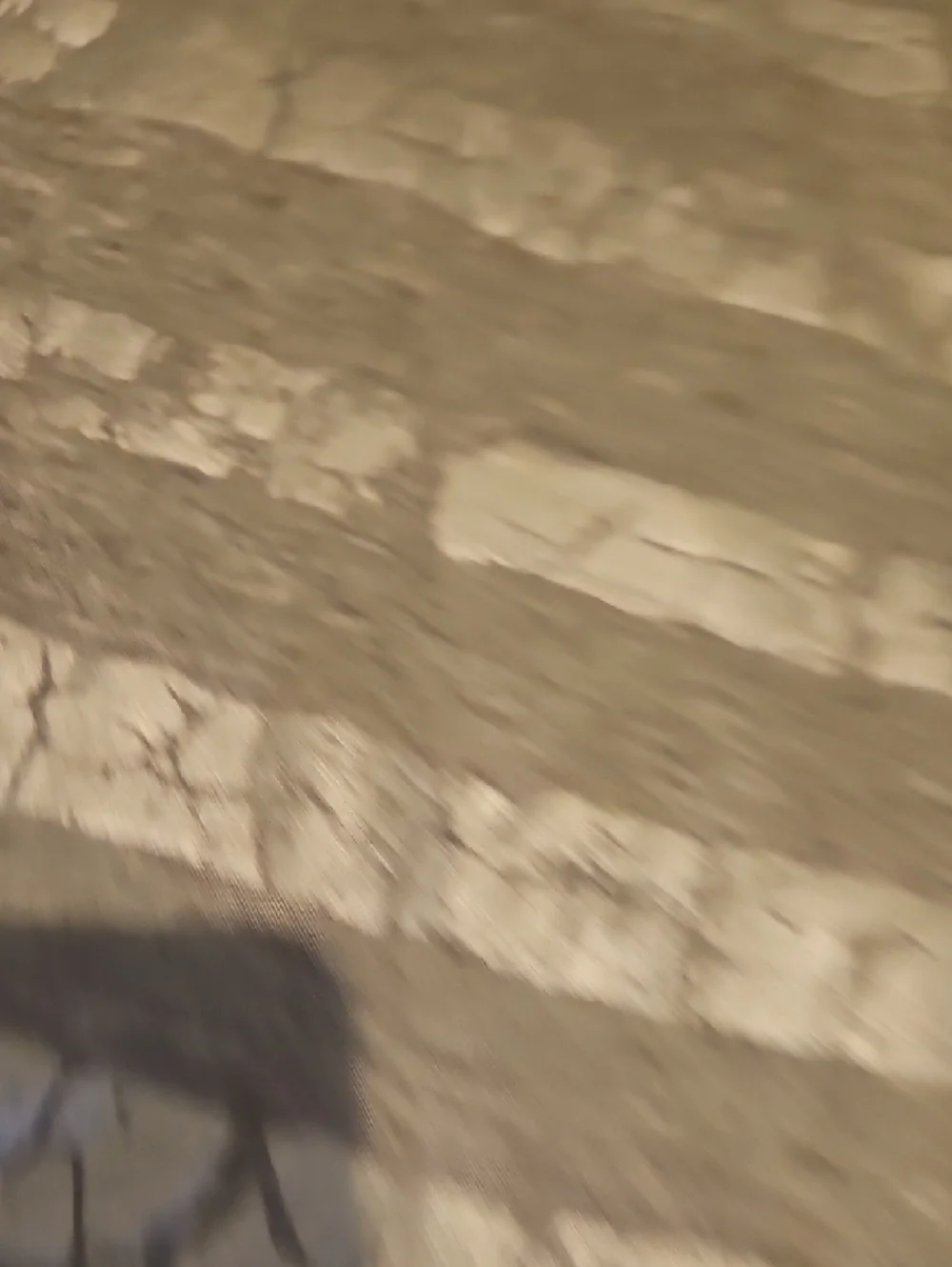 Lisa Rinna Collection Charcoal Ribbed Two-Piece Set - Picture 6 of 6